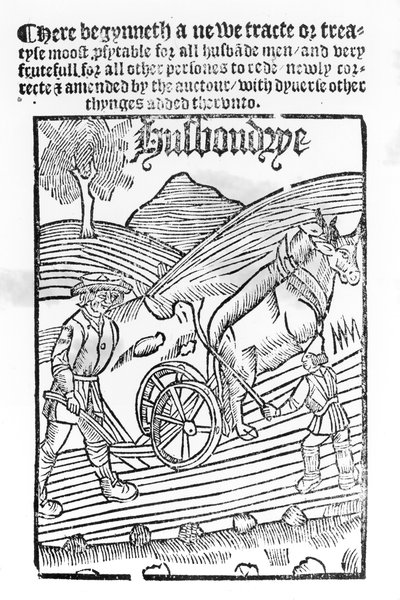 Man Ploughing a Field by English School